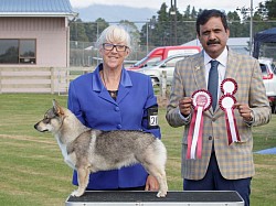 17.3.2024 Reserve Best In Group & Puppy In Group