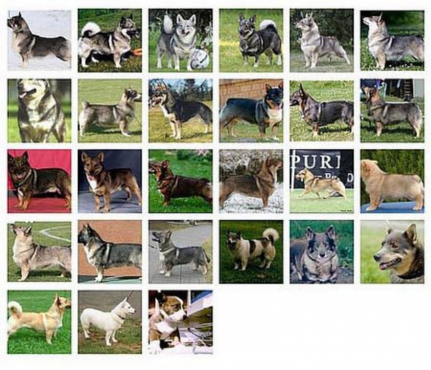 Examples of Colour