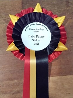 2-9-23 2nd Baby Puppy Stakes