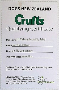 Ch Vallarity Rockabilly Rebel - Crufts Qualifying Certificate