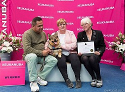 Vallarity Gandalf - 2016 Eukanuba National Life Saving Award