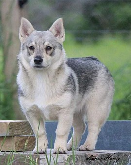 Pictured at 2 years old