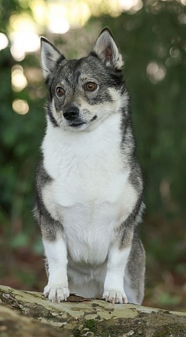 Pictured at 2 years old