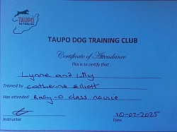 July 2025. Rally-O Novice training course