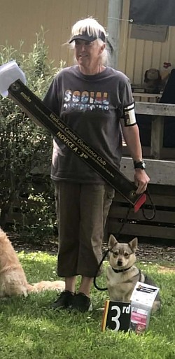 22.11.2025 3rd Novice A Rally-O