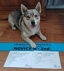 21 March 2026 - 2x Novice A Qualifying Certificates. 2nd Place.