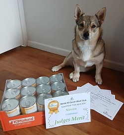 18 April 2026 - North Canine Scenting. 5/5 searches and Judges Merit for Container Search