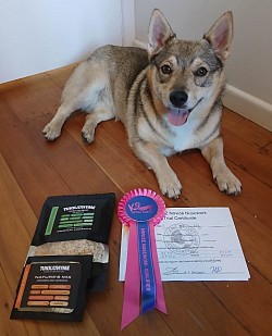 10 May 2026 - 5th SSANZ Novice Qualifying Certificate