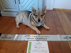27.6.2026 Canine Good Citizen Silver Award