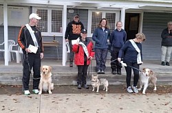 27.6.2026 Canine Good Citizen Silver Award