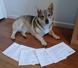10.7.2026 qualified NCS