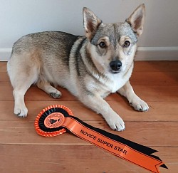 SSANZ Novice Superstar