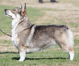 Pictured at 2 years old