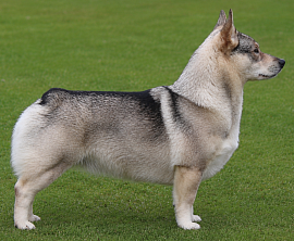 Pictured at 24 months old
