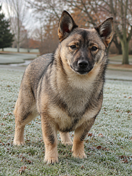 Pictured at 7 months old