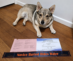 22.8.2026 Qualified Buried Hide Water, LIR award