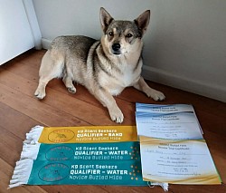 19.09.2026 Buried Hides qualified Water & Sand